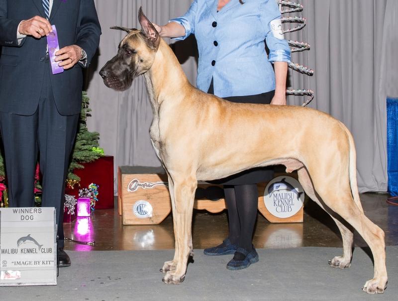 BIG