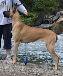 Brindi having fun