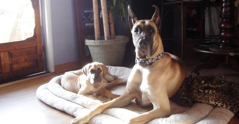 Daddy and Baby