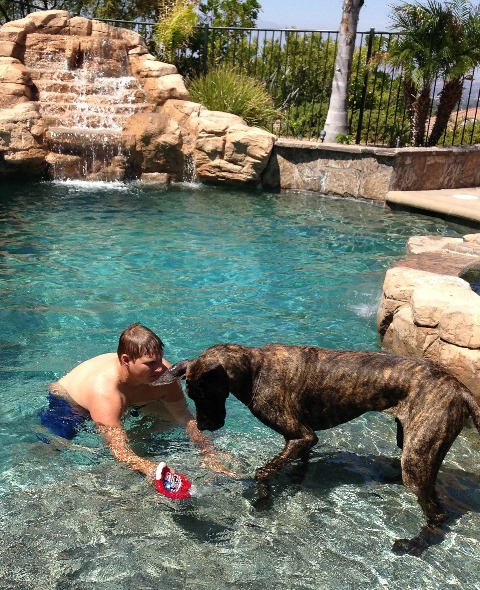 Wiley Swims