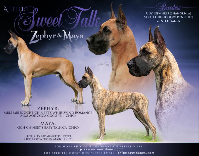 Zephyr/Maya Litter