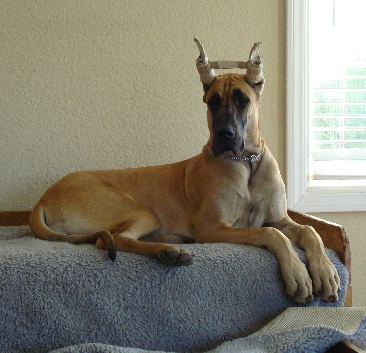 Lounging
